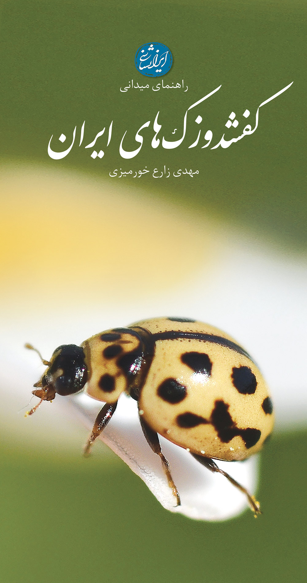 کفشدوزک های ایران